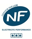 NF électricité performance