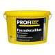 PEINTURE EXTERIEURE BLANCHE MATE - PROFITEC SILICA MAT P 451